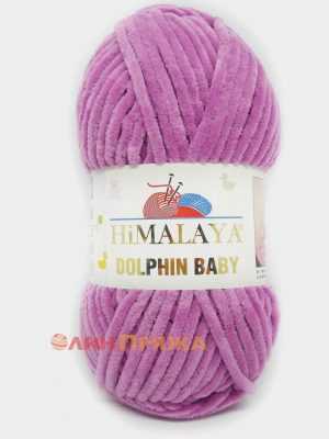 80356 Himalaya Dolphin Baby (орхидея)