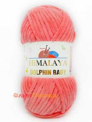 80332 Himalaya Dolphin Baby