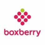 Boxberry Олин пряжа