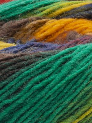 2912 YarnArt Forza Festival