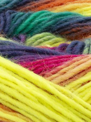 2917 YarnArt Forza Festival